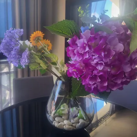 Appartement Golf Orange Eagle *